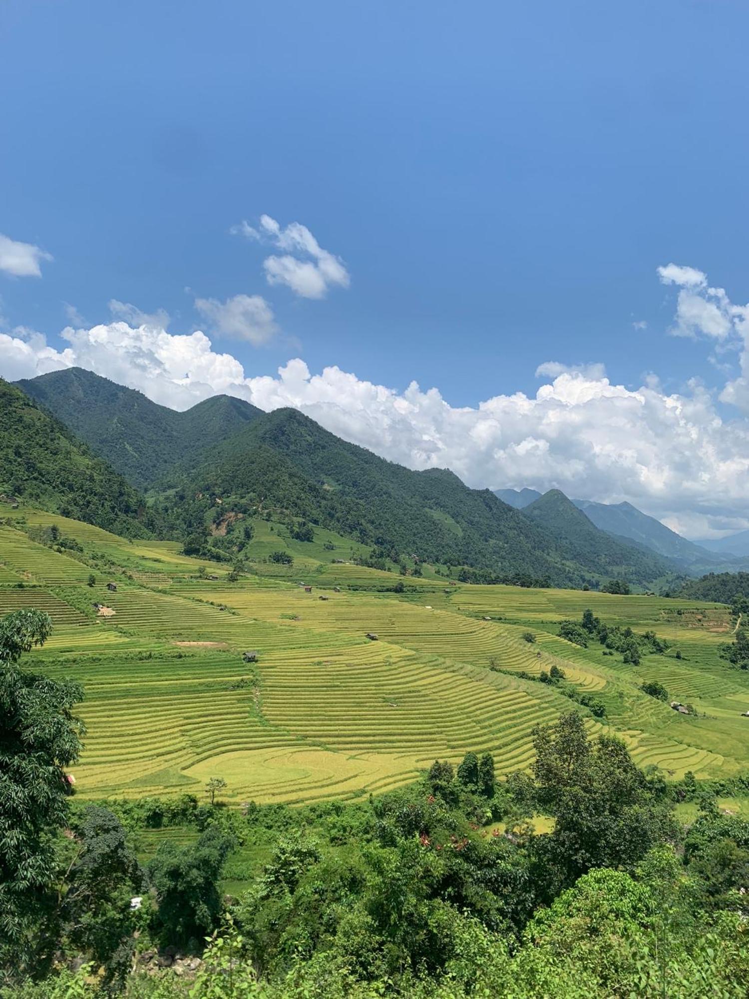 The Zen House Sapa Διαμέρισμα Εξωτερικό φωτογραφία